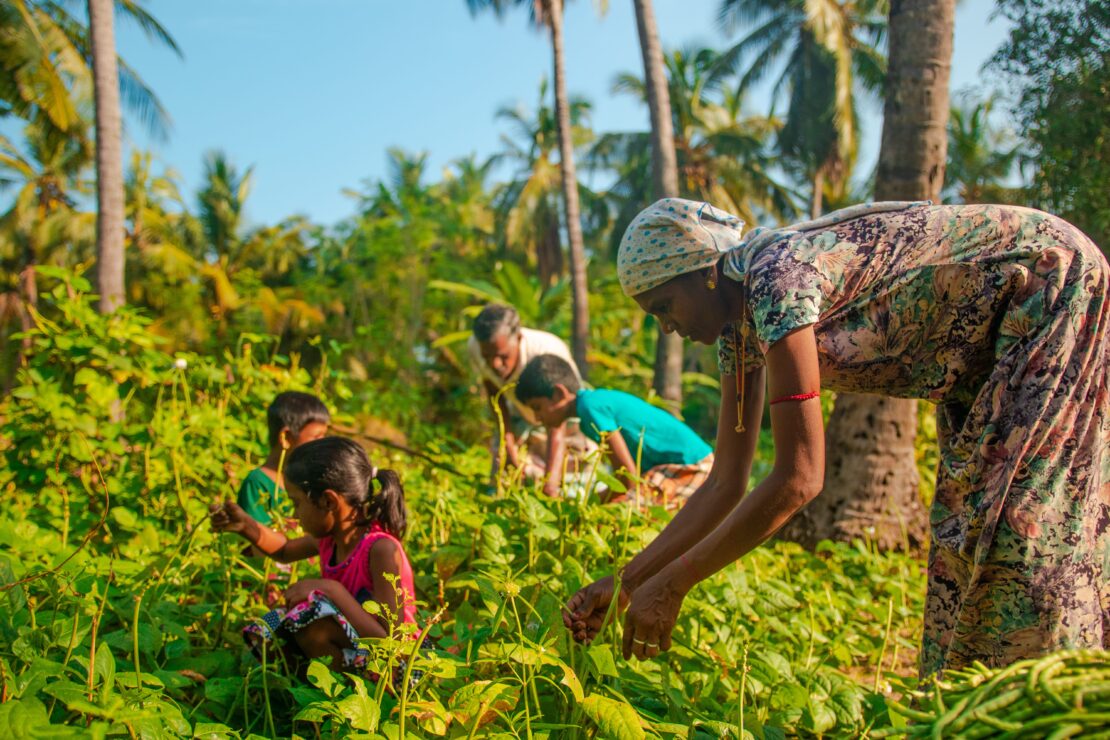 una donna raccoglie i frutti del suo orto. World vision si impegna a supportare lo sviluppo economico delle comunità fornendo competenze