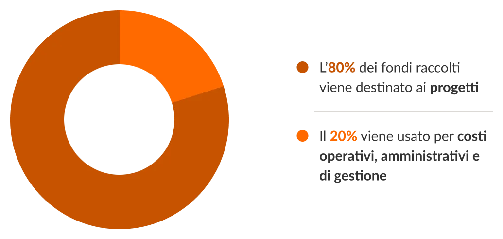 Grafico a torta che mostra la destinazione dei fondi di World VIsion
