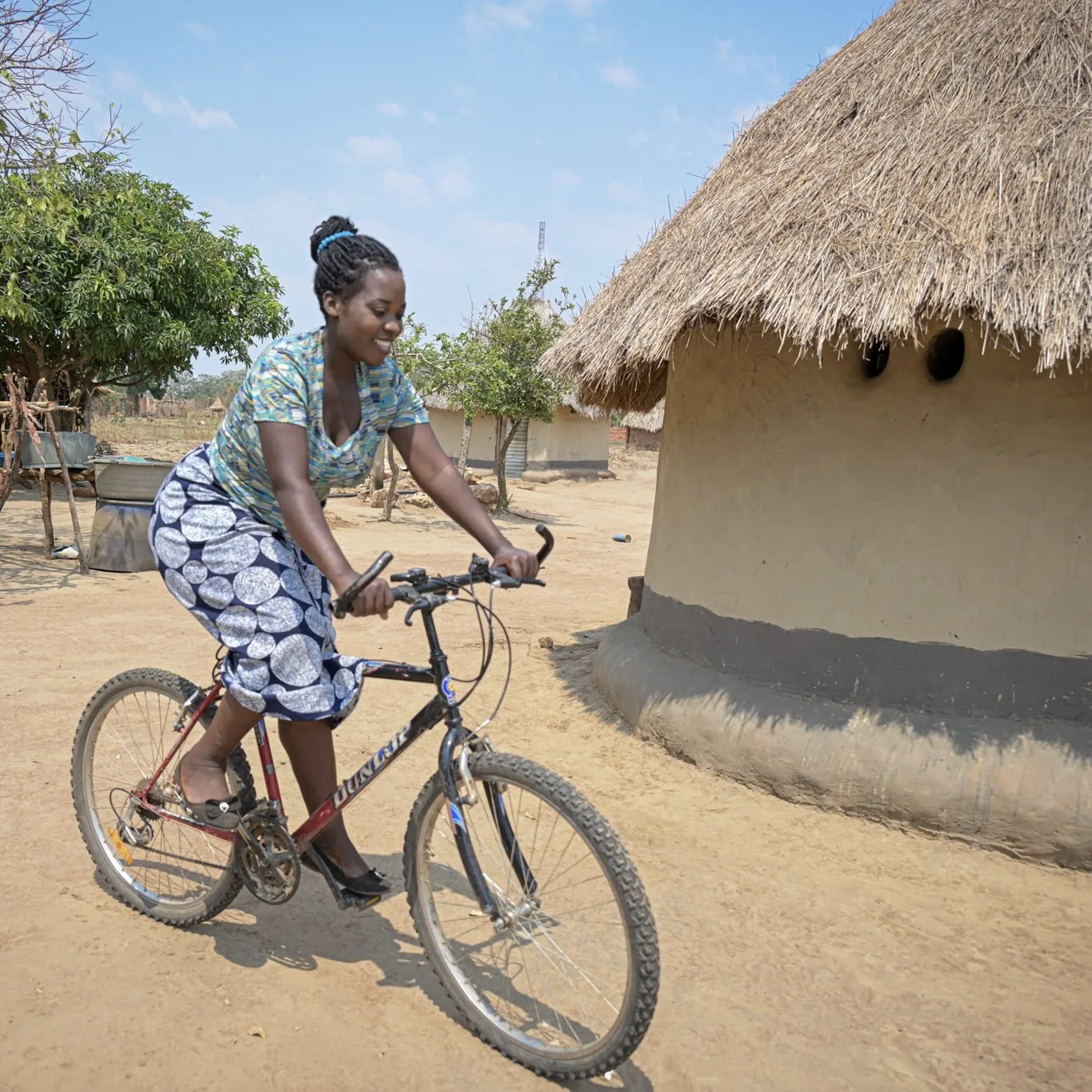 Bicicletta
